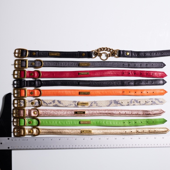 Leather Dog Collar by Hound Collection with Gold Bar Logo - Picture 8 of 8